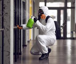 Best Mold Remediation for Healthcare Facilities  in Folcroft, PA